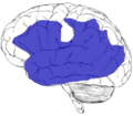 Thumbnail for version as of 03:22, 5 June 2026