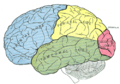 Thumbnail for version as of 17:28, 18 May 2026