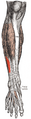 Thumbnail for version as of 13:40, 23 May 2026