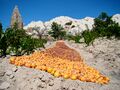 Dried fruit