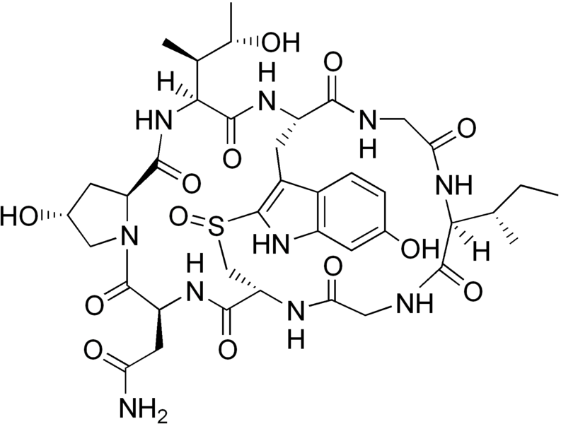 File:Gamma-amanitin structure.png
