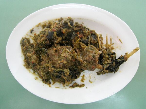 File:Paniki Rica Cabai Hijau.JPG