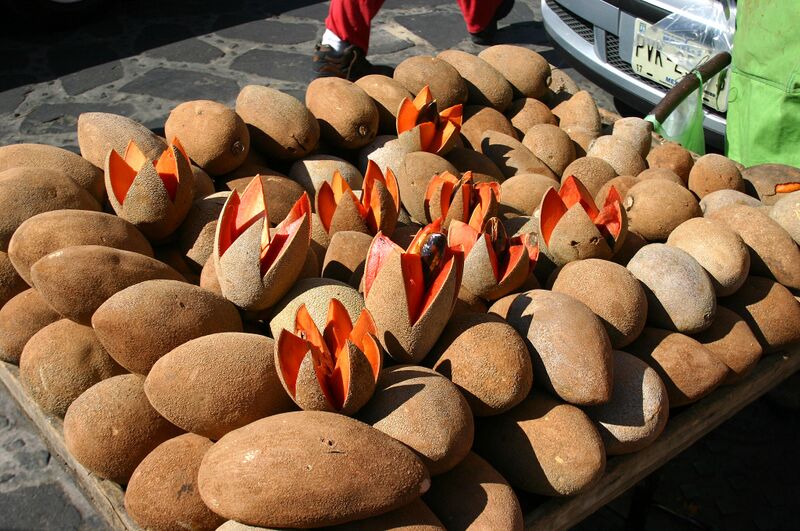 File:Mamey.jpg
