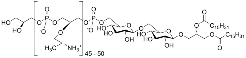 File:Lipoteichoic acid.png