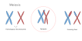 Thumbnail for version as of 22:36, 8 June 2026