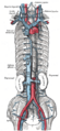 External jugular vein