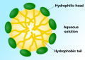 Micelle structure
