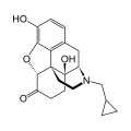 Thumbnail for version as of 14:55, 19 May 2026
