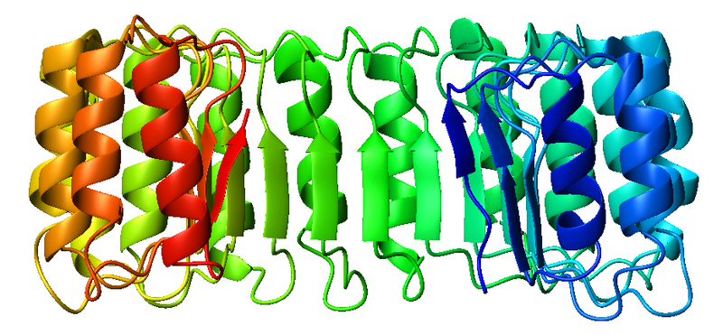 File:2bnh sideview.png