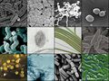 Thumbnail for version as of 13:39, 8 June 2026