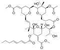 Thumbnail for version as of 02:09, 24 May 2026
