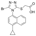 Thumbnail for version as of 12:34, 19 May 2026