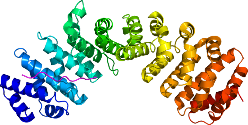 File:1Y2A.png