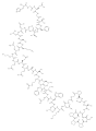 Thumbnail for version as of 12:34, 19 May 2026