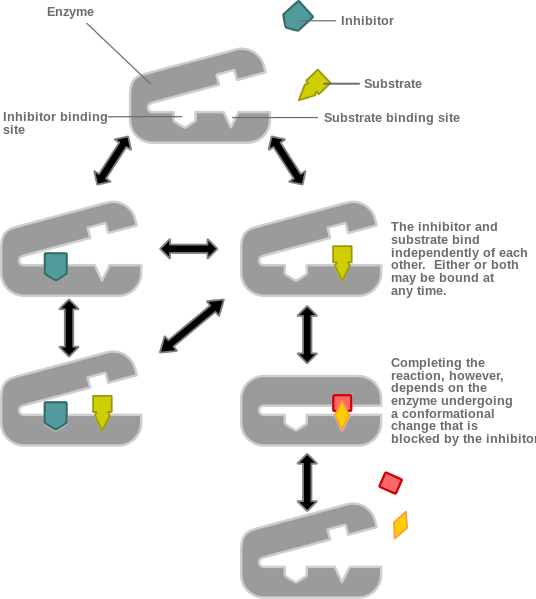 File:Non-competitive inhibition.svg