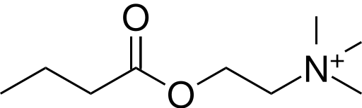 File:Butyrylcholine transparent background.svg