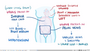 Thumbnail for version as of 22:33, 8 June 2026