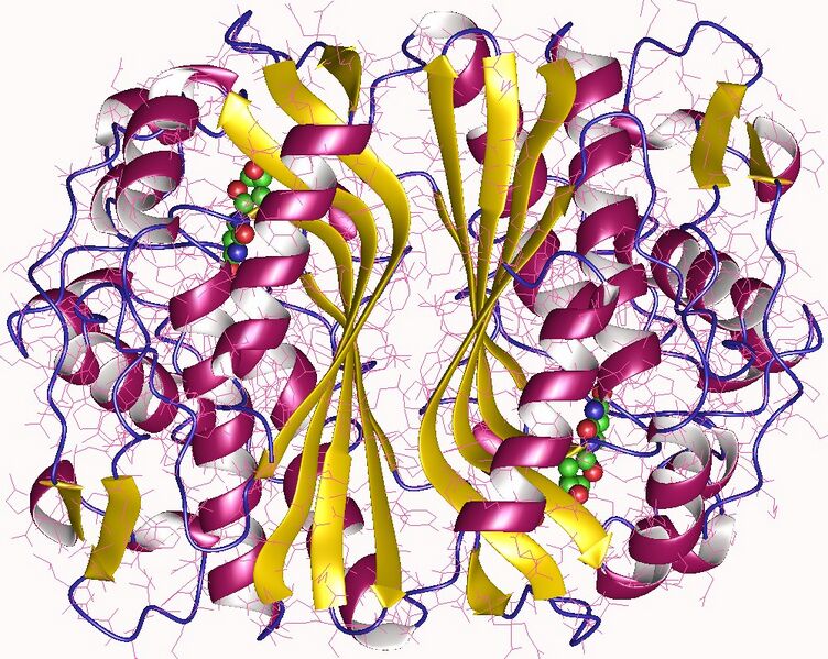 File:5x5d.jpg