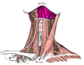 Thumbnail for version as of 13:40, 23 May 2026