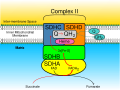 Thumbnail for version as of 03:41, 2 June 2026