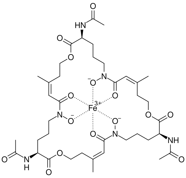 File:Fe(hydroxamate)3.svg