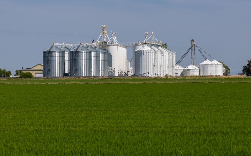 File:Lundberg Family Farms, Richvale-4360.jpg