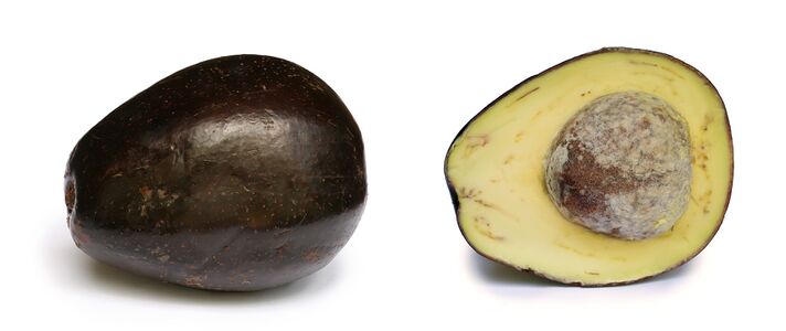 Avocado with cross section