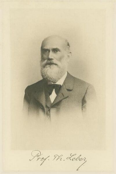 File:TheodorLeber.JPG
