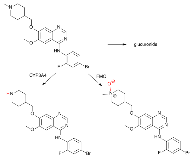 File:Vandetanib metabolism.svg