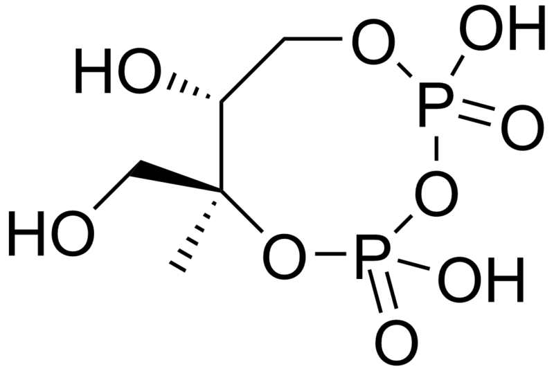 File:2-C-Methyl-D-erythritol-2,4-cyclopyrophosphate.png