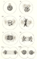 Thumbnail for version as of 17:28, 18 May 2026