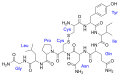 Thumbnail for version as of 11:33, 19 May 2026
