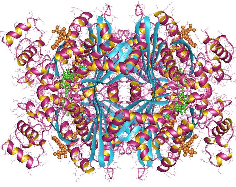 File:1dqa.jpg