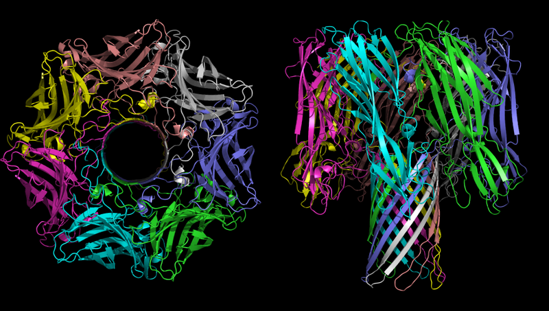 File:7ahl.png