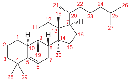 File:Cucurbitane Grundstruktur num.svg