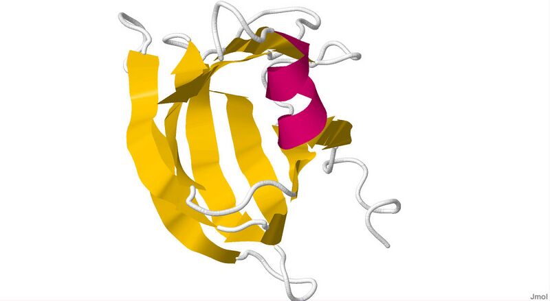 File:2QUO.pdb.jpg
