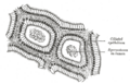 Thumbnail for version as of 17:27, 18 May 2026