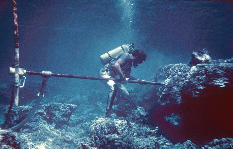 File:Coral-drilling hg.jpg