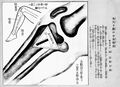 Thumbnail for version as of 22:27, 8 June 2026