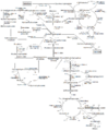 Metabolism of common monosaccharides