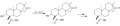 Isosteviol reaction with OsO4
