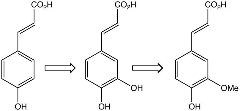 File:CaffeicAcIn.png