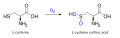 Thumbnail for version as of 02:09, 24 May 2026