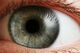 Pupil