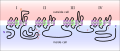 Sodium Channel