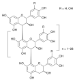 Thumbnail for version as of 14:55, 19 May 2026