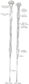 Thumbnail for version as of 17:28, 18 May 2026