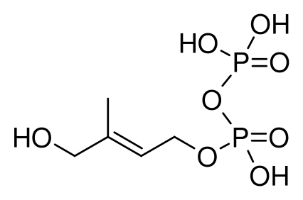File:HMB-PP.svg