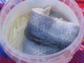 Herring as food