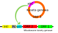 Thumbnail for version as of 11:33, 19 May 2026